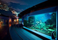 海洋館安裝除濕機的好處，怎么選游洋館除濕機？